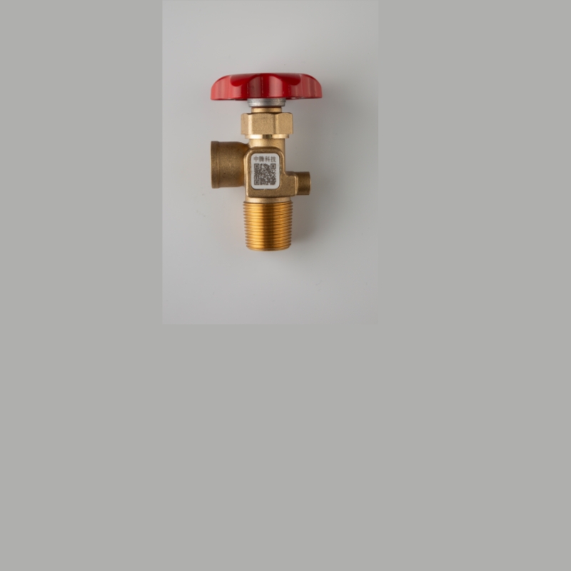 醇基液体燃料瓶组合阀